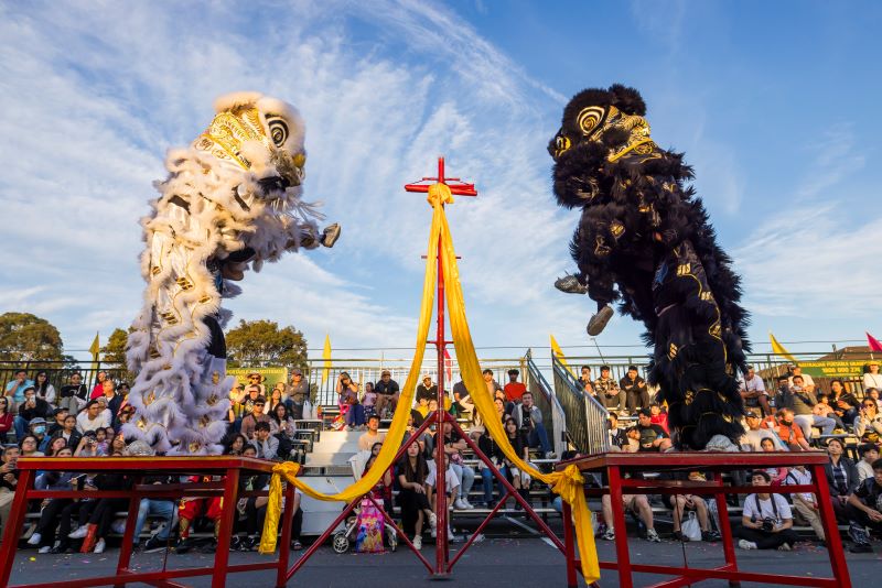 Cabramatta-Moon-Festival-Lions-Dance-Performance.jpg