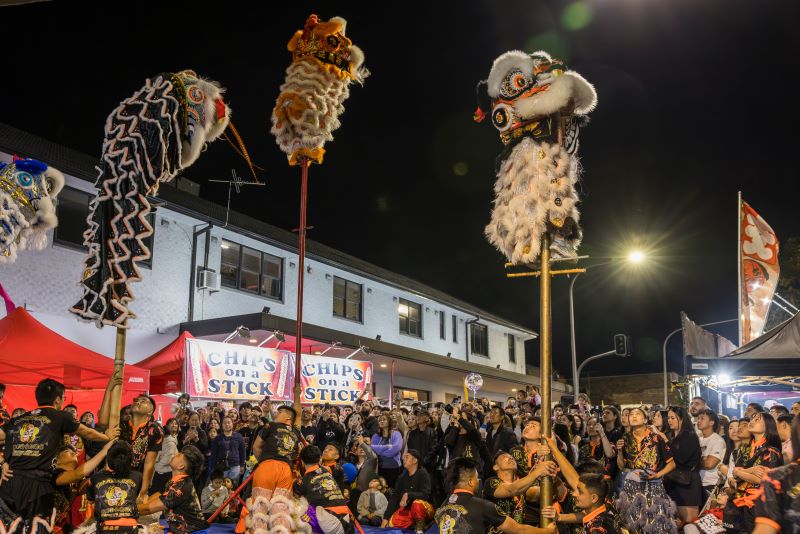 Cabramatta-Moon-Festival-Lions-on-High-Pole-Performance.jpg