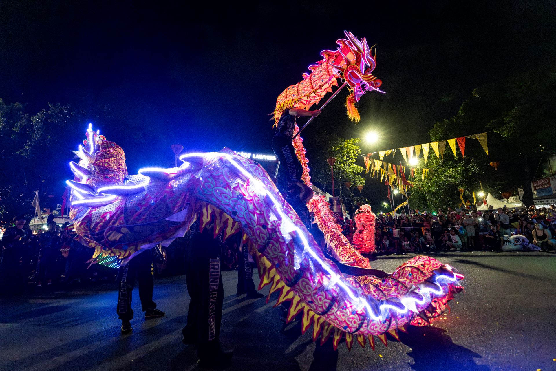 LED Dragon